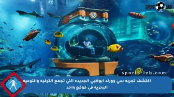 اكتشف تجربة سي وورلد أبوظبي الجديدة التي تجمع الترفيه والتوعية البحرية في موقع واحد